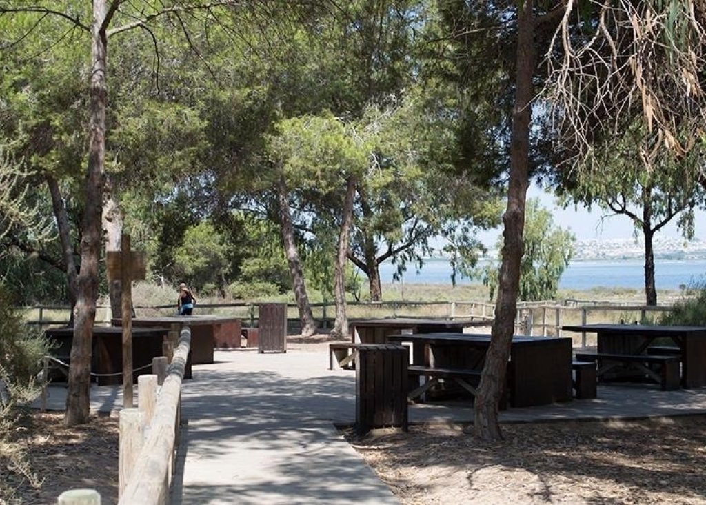 Sale - Apartment - Flat - La Mata - La Mata - Town