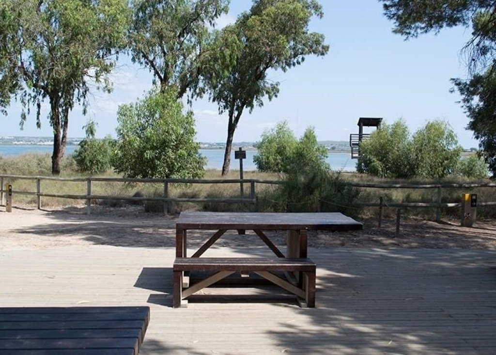 Sale - Apartment - Flat - La Mata - La Mata - Town