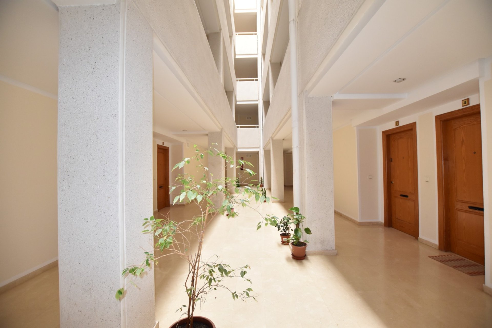 Sale - Apartment - Flat - La Mata