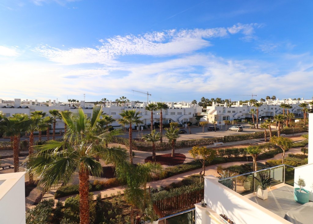 Sale - Apartment - Flat - Los Montesinos - Entre Naranjos / Vistabella Golf