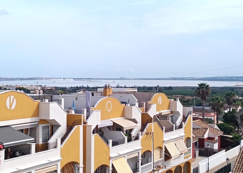Sale - Apartment - Flat - Los Montesinos - Urbanizacion montesol