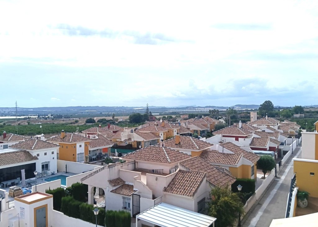 Sale - Apartment - Flat - Los Montesinos - Urbanizacion montesol