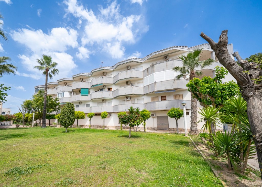 Sale - Apartment - Flat - Orihuela Costa - Cabo Roig