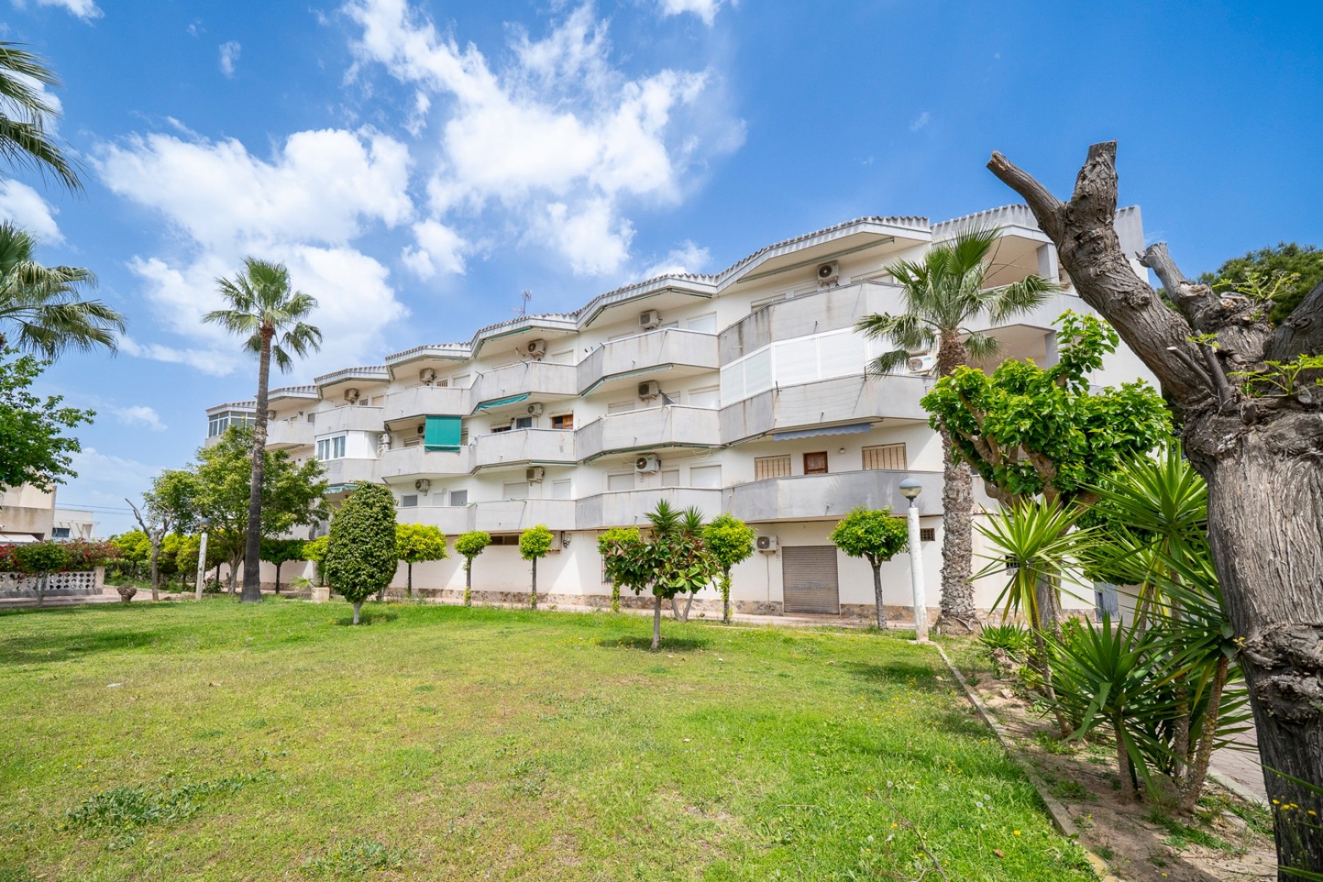 Sale - Apartment - Flat - Orihuela Costa - Cabo Roig
