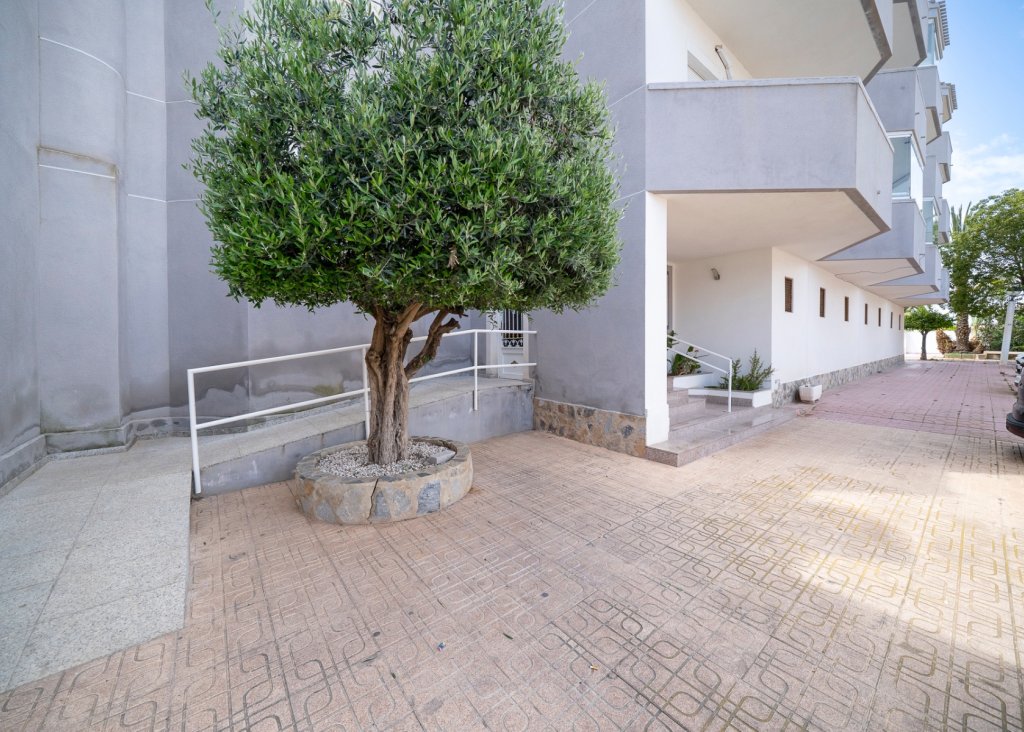 Sale - Apartment - Flat - Orihuela Costa - Cabo Roig