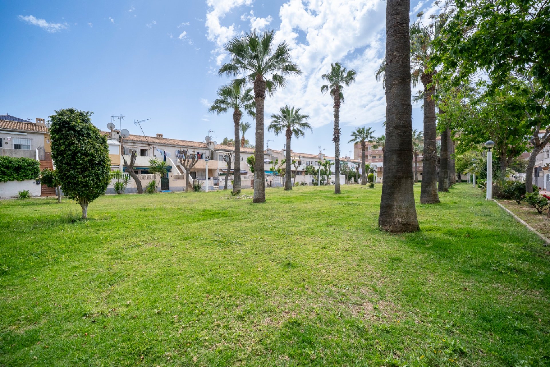Sale - Apartment - Flat - Orihuela Costa - Cabo Roig