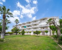 Sale - Apartment - Flat - Orihuela Costa - Cabo Roig