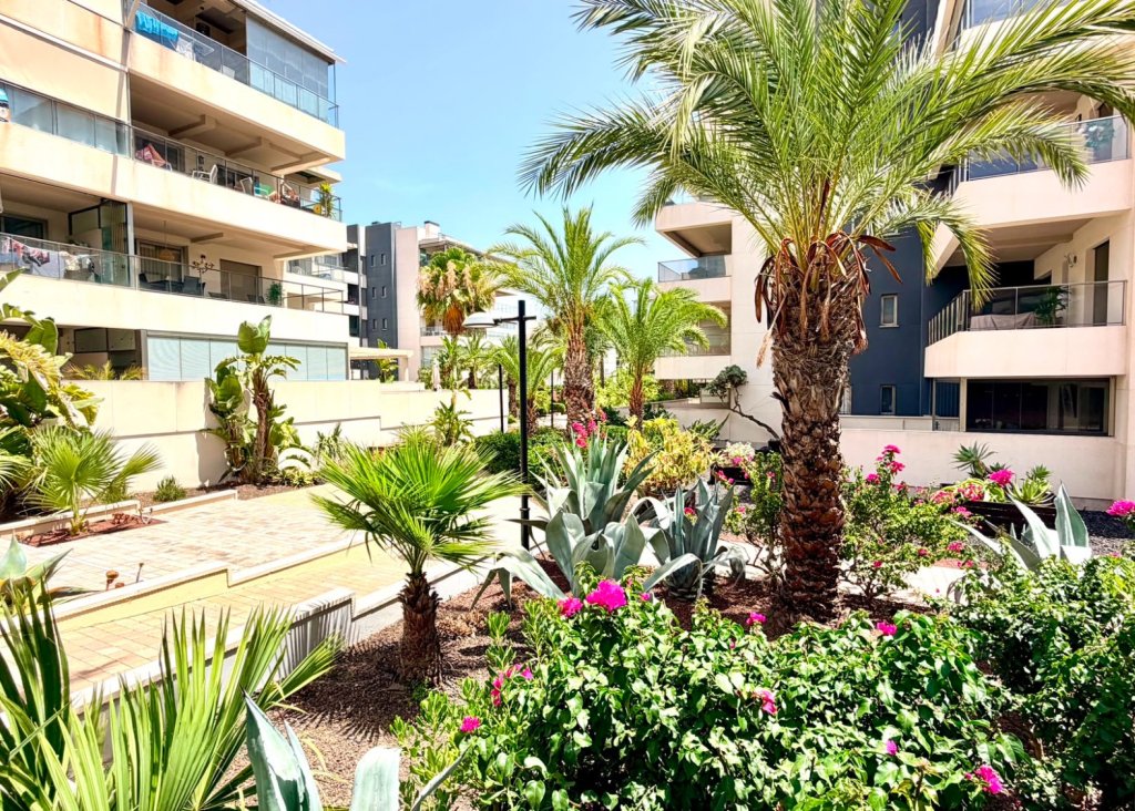 Sale - Apartment - Flat - Orihuela Costa - La Zenia