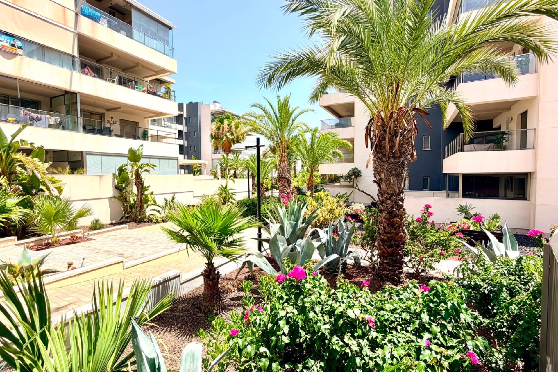 Sale - Apartment - Flat - Orihuela Costa - La Zenia