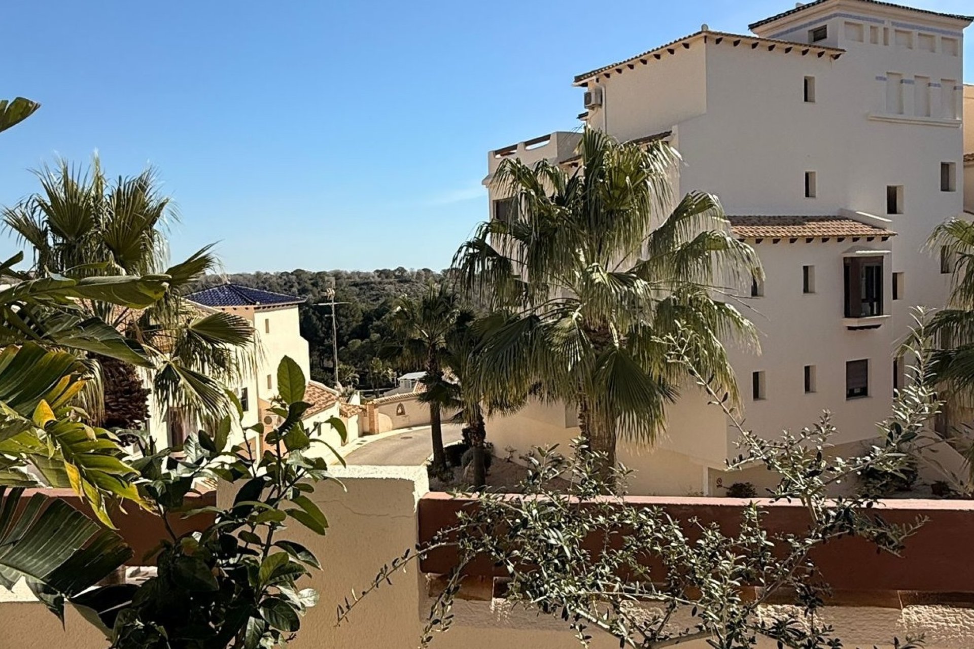 Sale - Apartment - Flat - Orihuela Costa - Las Ramblas