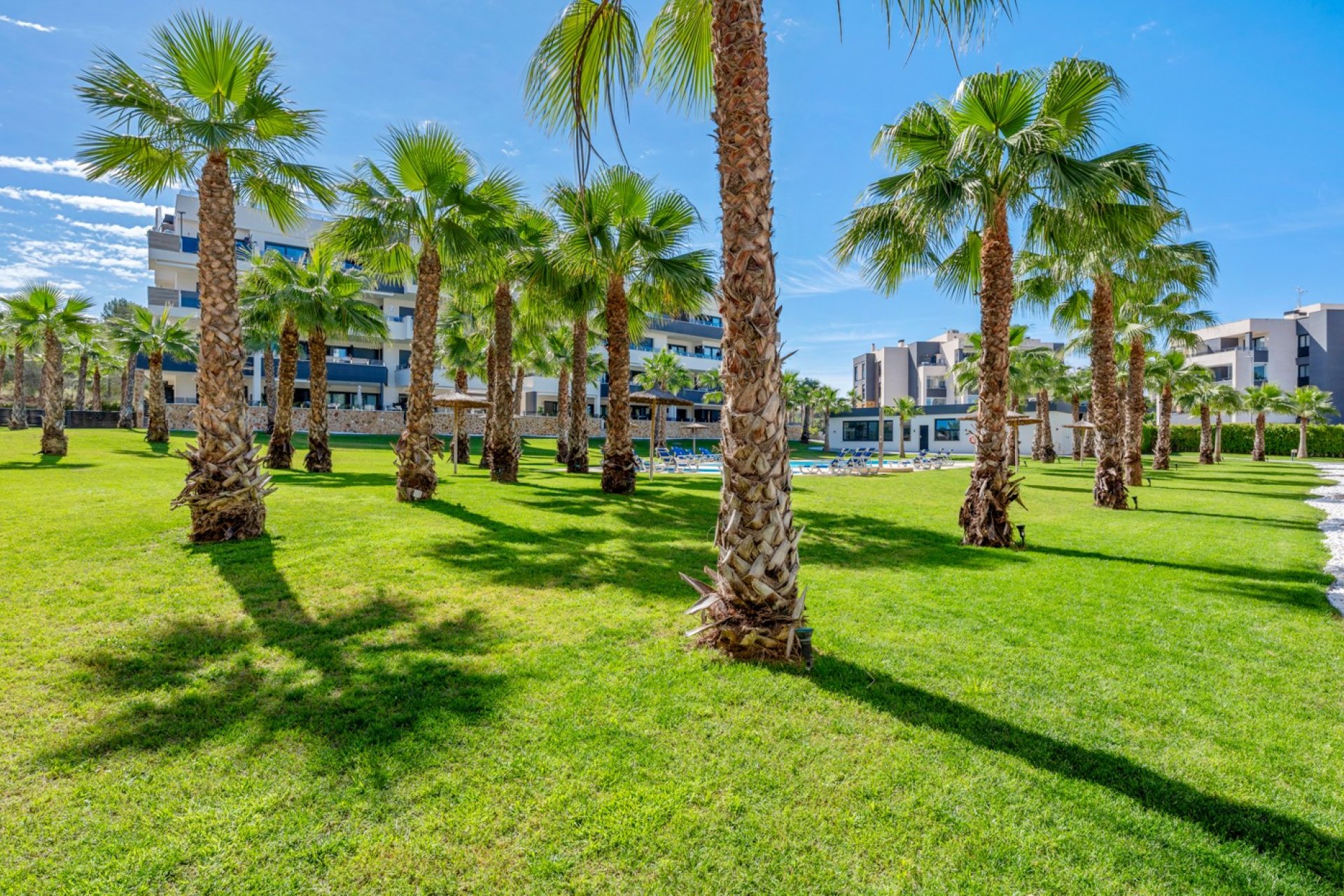 Sale - Apartment - Flat - Orihuela Costa - Los Altos