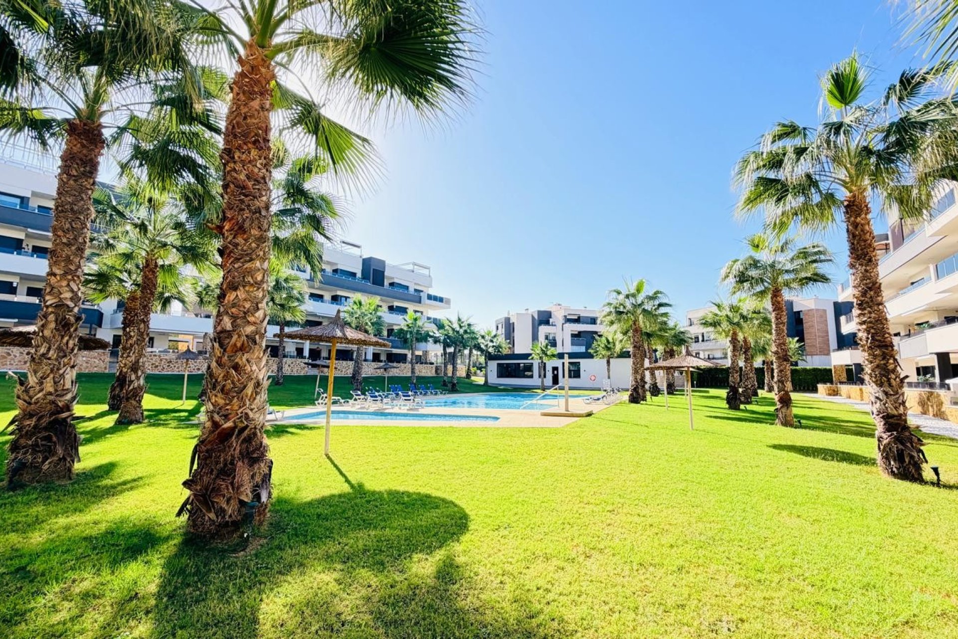 Sale - Apartment - Flat - Orihuela Costa - Los Altos