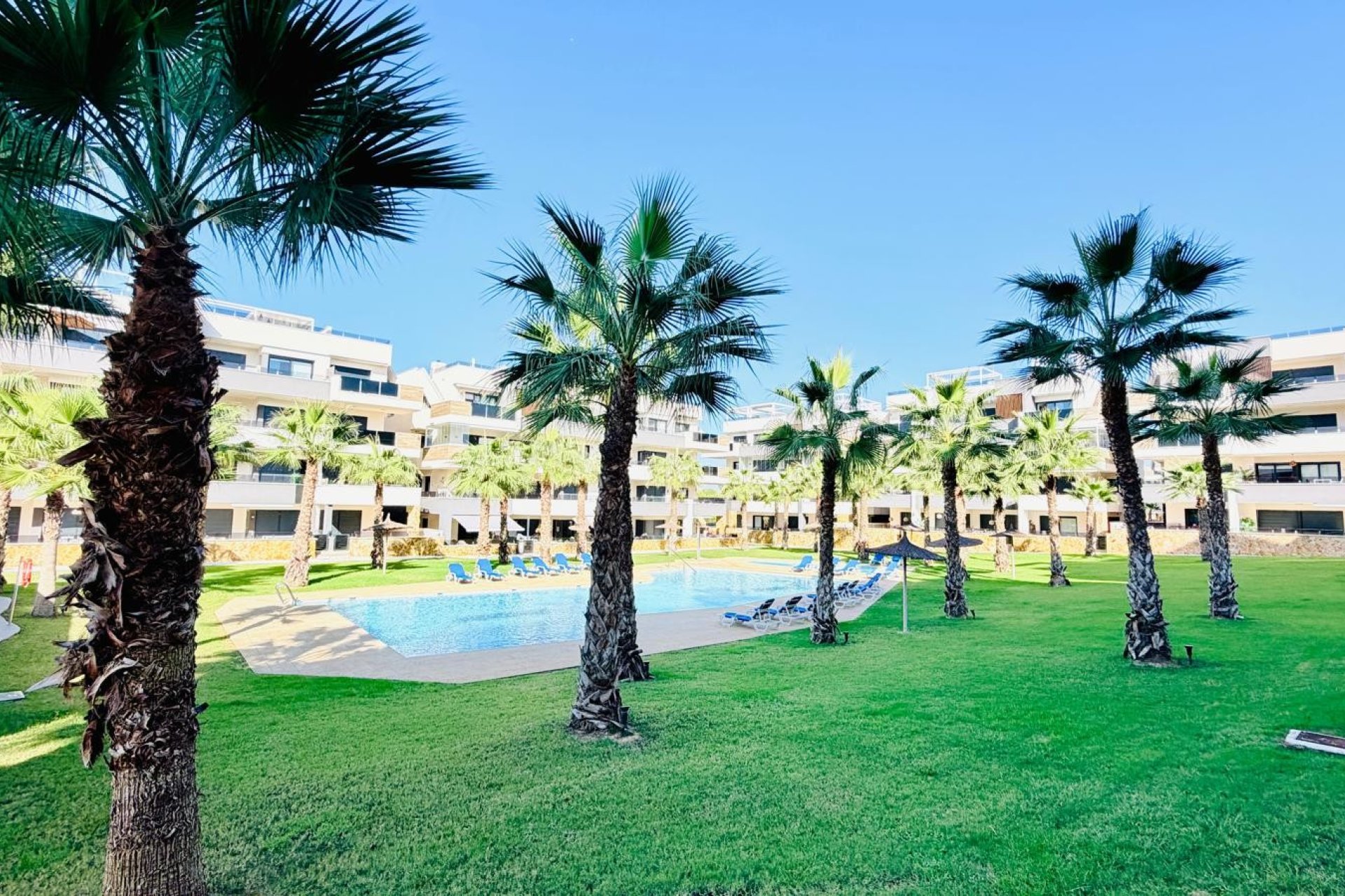 Sale - Apartment - Flat - Orihuela Costa - Los Altos