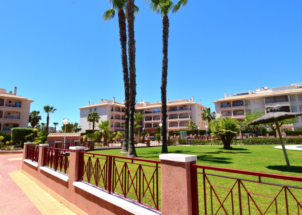 Sale - Apartment - Flat - Orihuela Costa - Playa Flamenca
