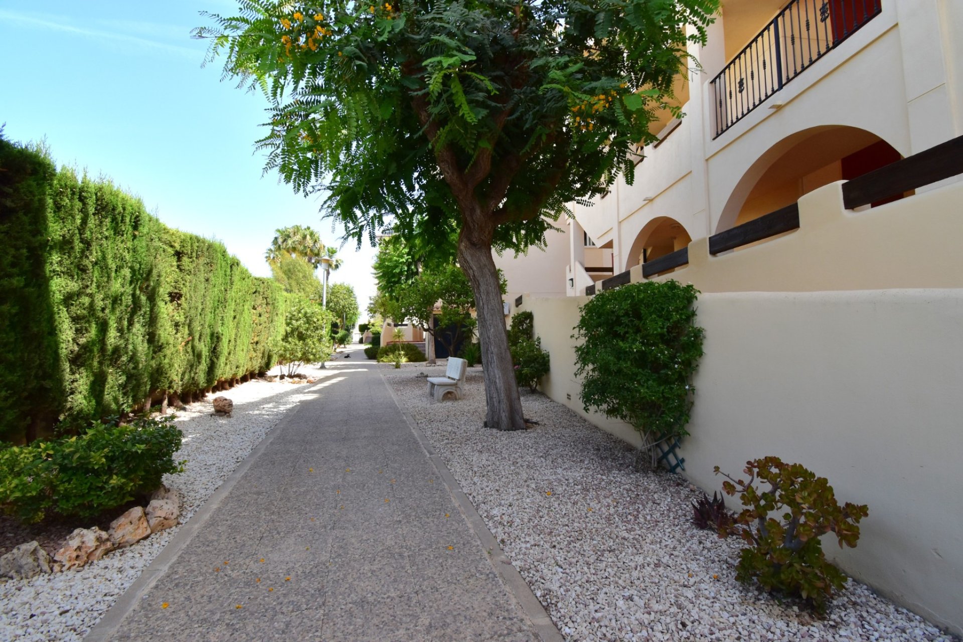 Sale - Apartment - Flat - Orihuela Costa - Playa Flamenca