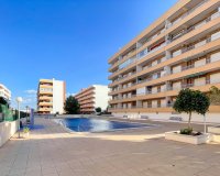 Sale - Apartment - Flat - Orihuela Costa - Punta Prima