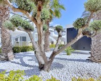 Sale - Apartment - Flat - Orihuela Costa - Punta Prima