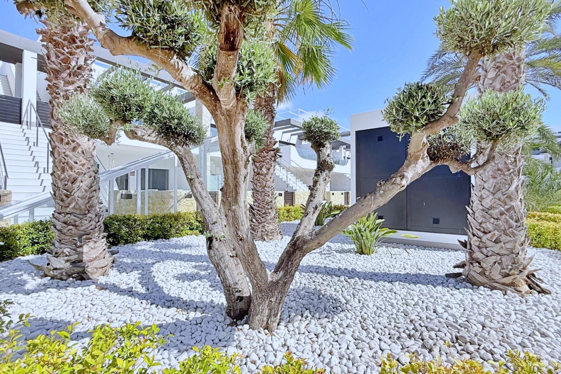 Sale - Apartment - Flat - Orihuela Costa - Punta Prima