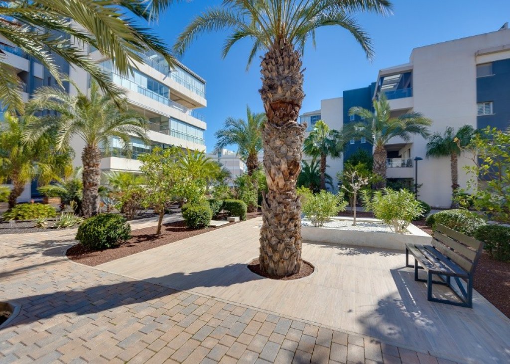 Sale - Apartment - Flat - Orihuela Costa - Villamartin