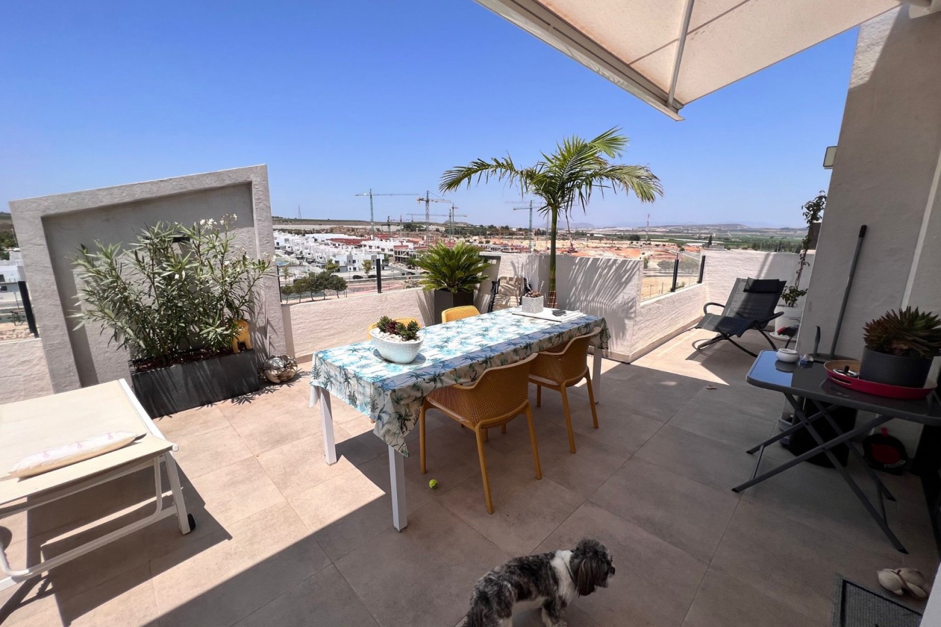 Sale - Apartment - Flat - San Miguel de Salinas