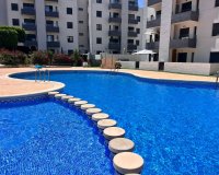 Sale - Apartment - Flat - San Miguel de Salinas