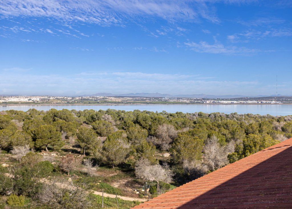 Sale - Apartment - Flat - Torrevieja - La Siesta