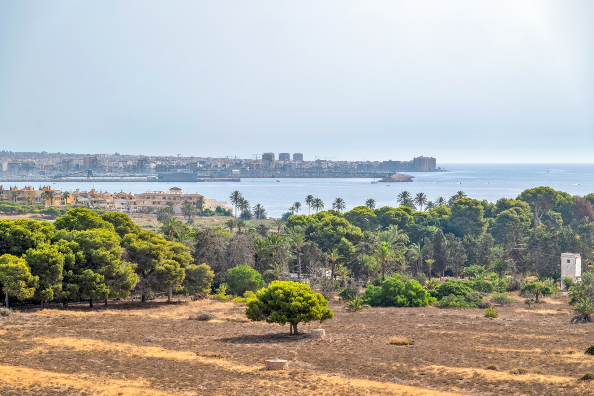 Sale - Apartment - Flat - Torrevieja - Punta Prima