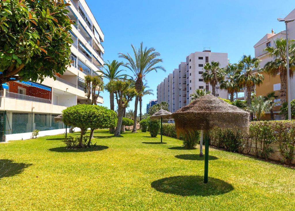 Sale - Apartment - Flat - Torrevieja - Rocio del Mar