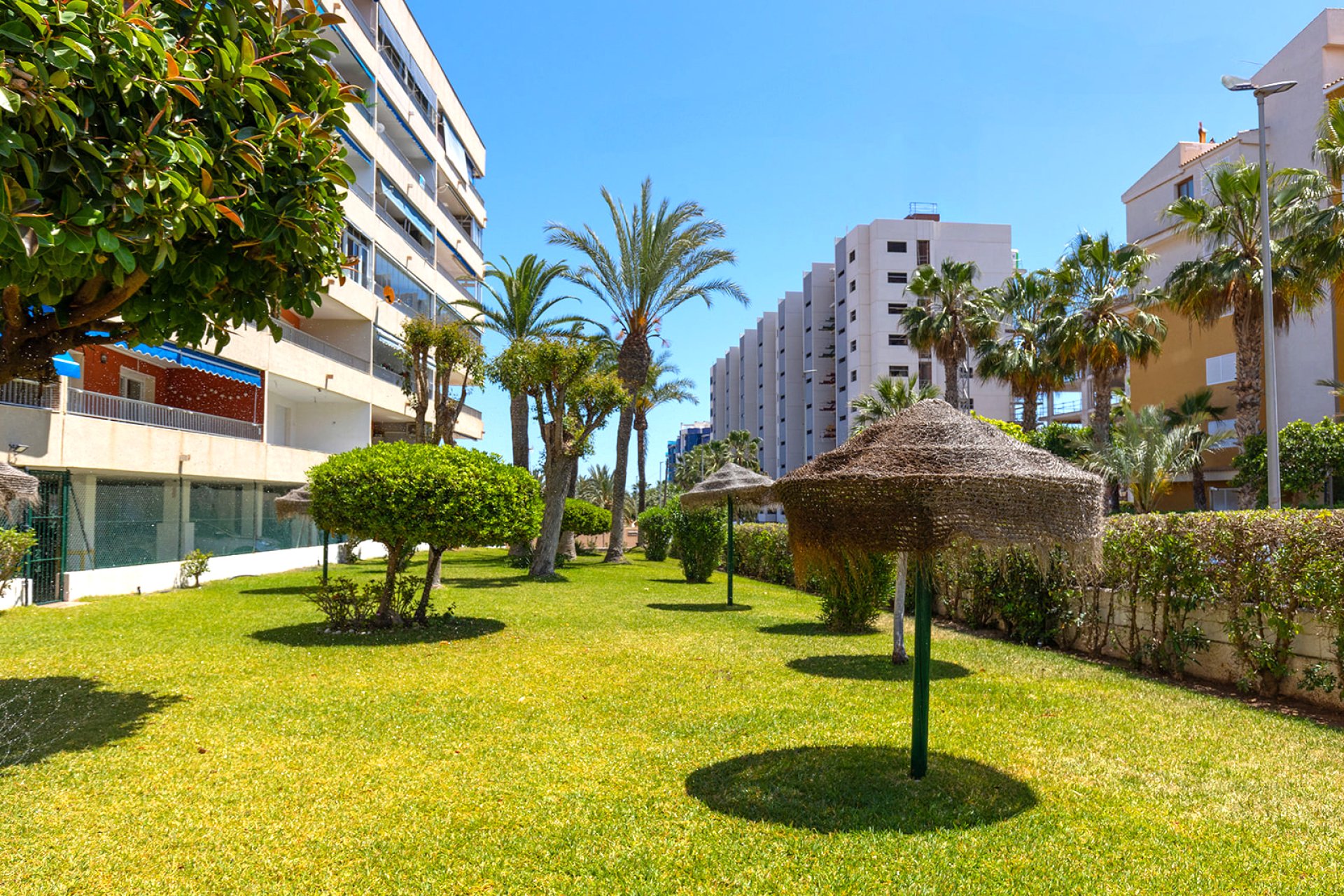 Sale - Apartment - Flat - Torrevieja - Rocio del Mar