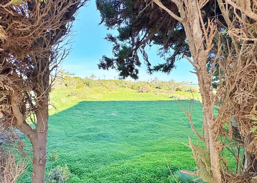 Sale - Apartment - Flat - Torrevieja - Rocio del Mar