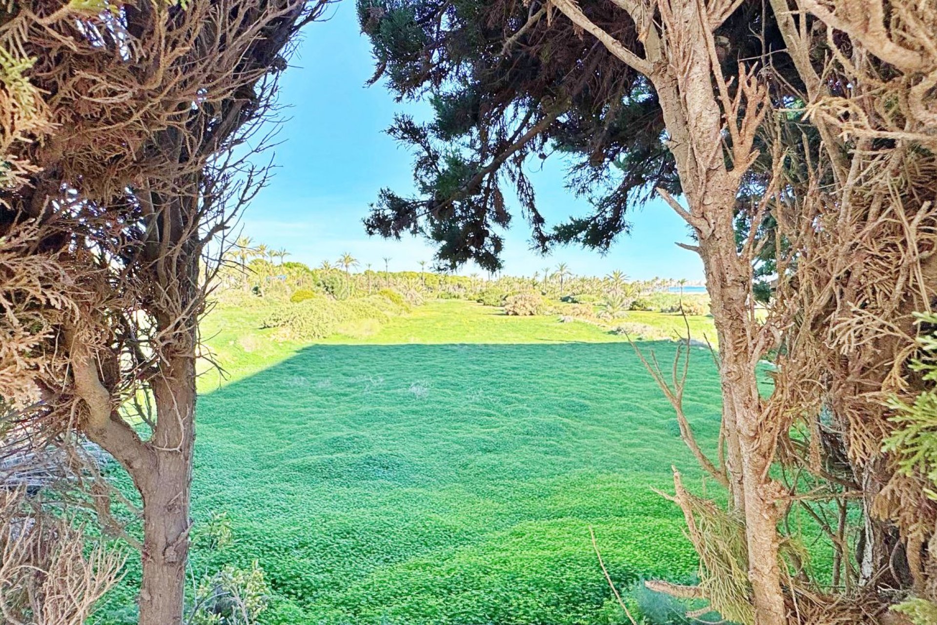 Sale - Apartment - Flat - Torrevieja - Rocio del Mar