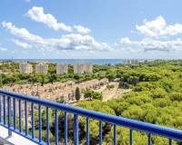 Sale - Apartment - Orihuela Costa - Campoamor