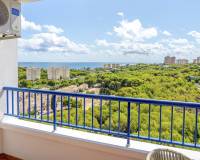 Sale - Apartment - Orihuela Costa - Campoamor