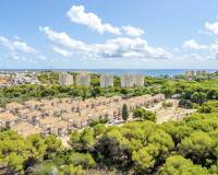 Sale - Apartment - Orihuela Costa - Campoamor