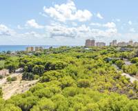 Sale - Apartment - Orihuela Costa - Campoamor