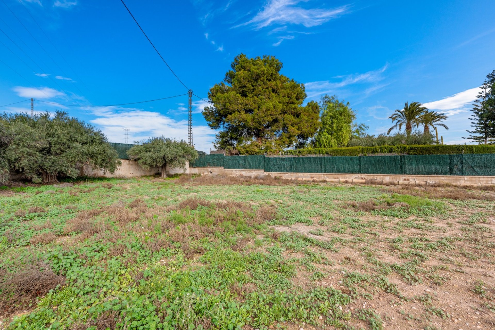 Sale - Chalet - Elche/Elx - Elche