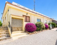 Sale - Commercial (Rental) - Ciudad Quesada - Rojales
