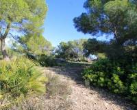 Sale - Detached Villa - Mil Palmeras - Mil Palmeras - Town