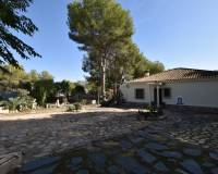 Sale - Finca - Algorfa - Montemar