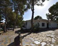 Sale - Finca - Algorfa - Montemar