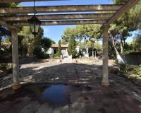 Sale - Finca - Algorfa - Montemar