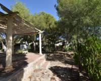 Sale - Finca - Algorfa - Montemar