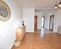 Sale - Finca - Algorfa - Montemar