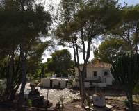 Sale - Finca - Algorfa - Montemar