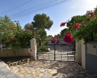 Sale - Finca - Algorfa - Montemar