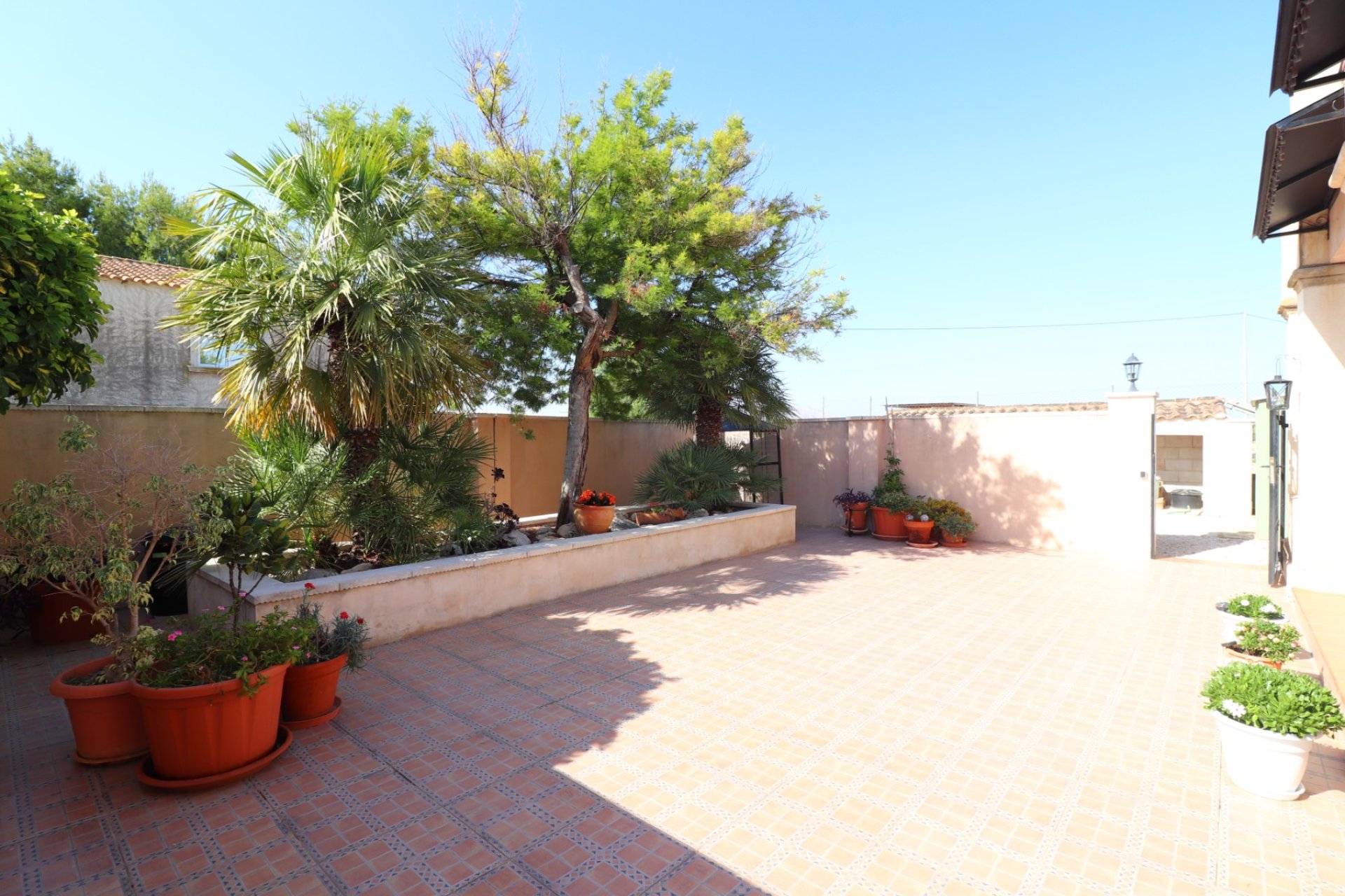 Sale - Finca / Country Property - Albatera - Albatera - Country