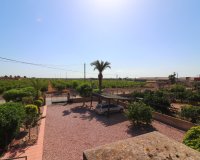 Sale - Finca / Country Property - Albatera - Albatera - Country