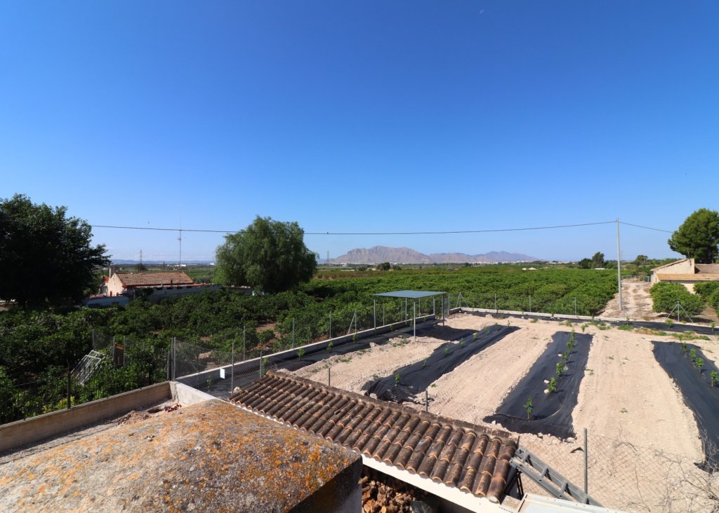 Sale - Finca / Country Property - Albatera - Albatera - Country