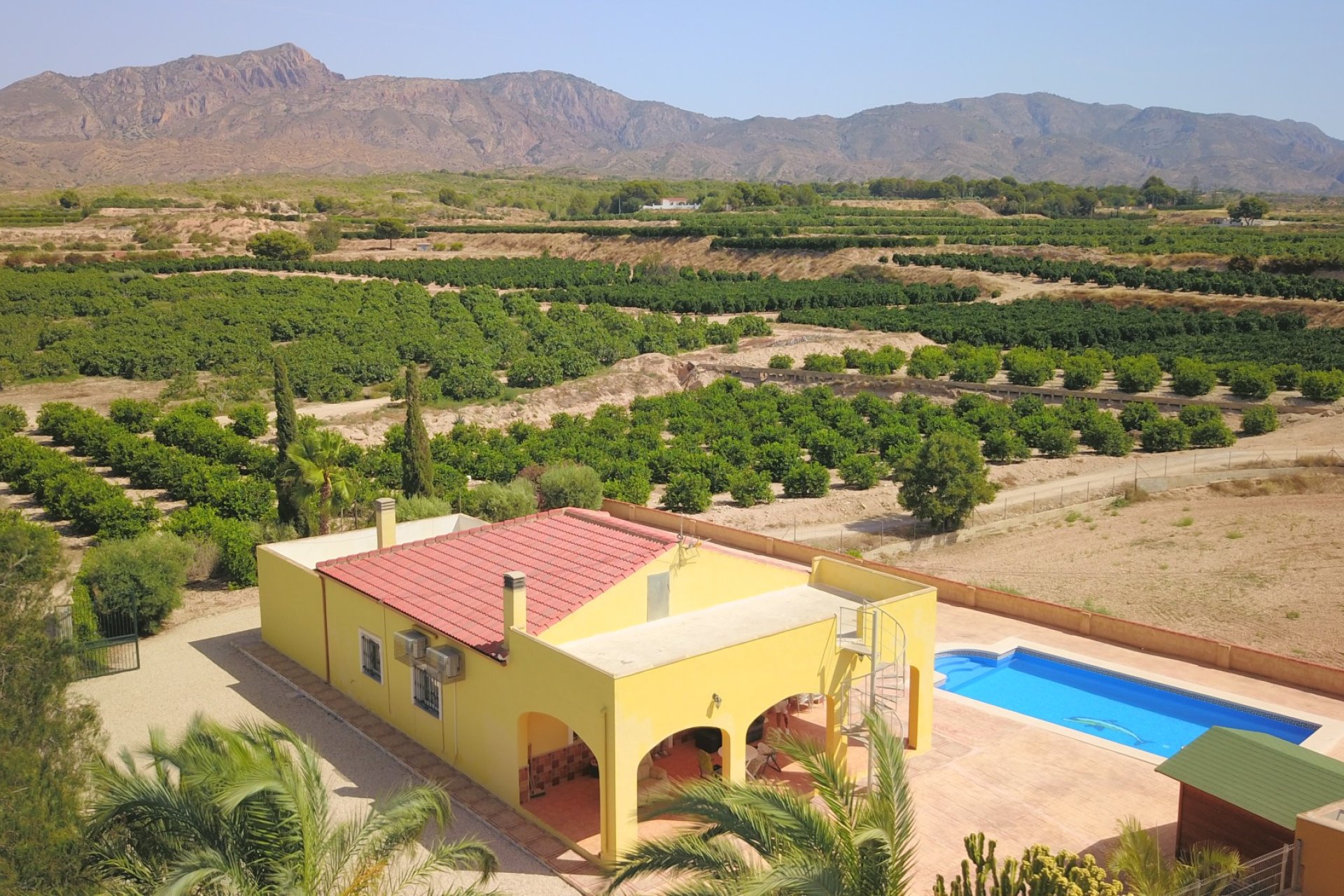 Sale - Finca / Country Property - Albatera - Albatera - Country