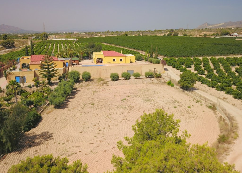 Sale - Finca / Country Property - Albatera - Albatera - Country